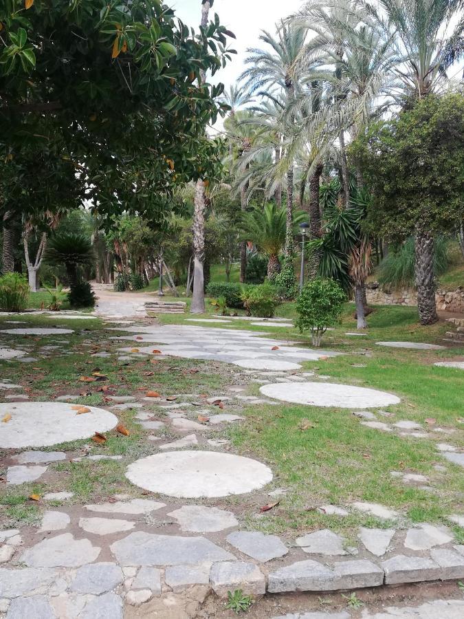 Penthouse Op Toplocatie Orihuela Exteriör bild