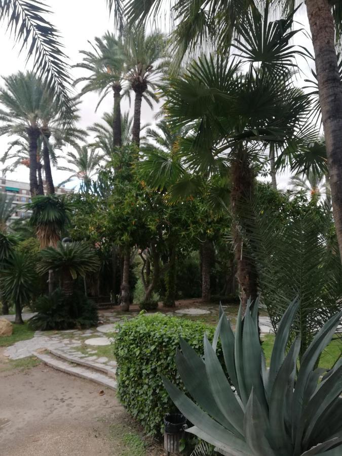 Penthouse Op Toplocatie Orihuela Exteriör bild