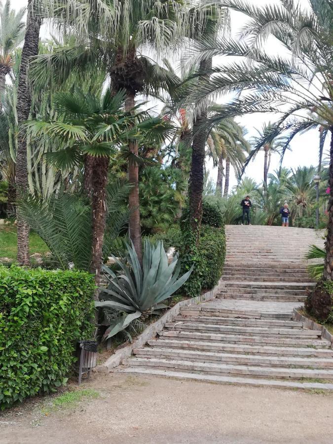 Penthouse Op Toplocatie Orihuela Exteriör bild